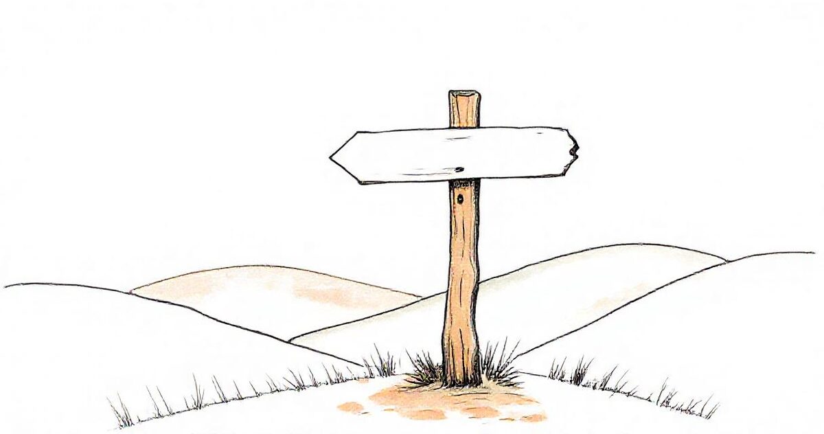 A wooden signpost with two blank arrows pointing different ways on a path between soft hills