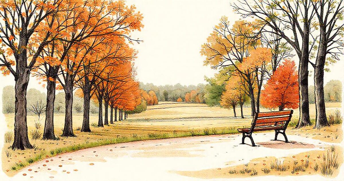 A sketch of a park path lined with autumn trees, a wooden bench and an open field in soft evening light