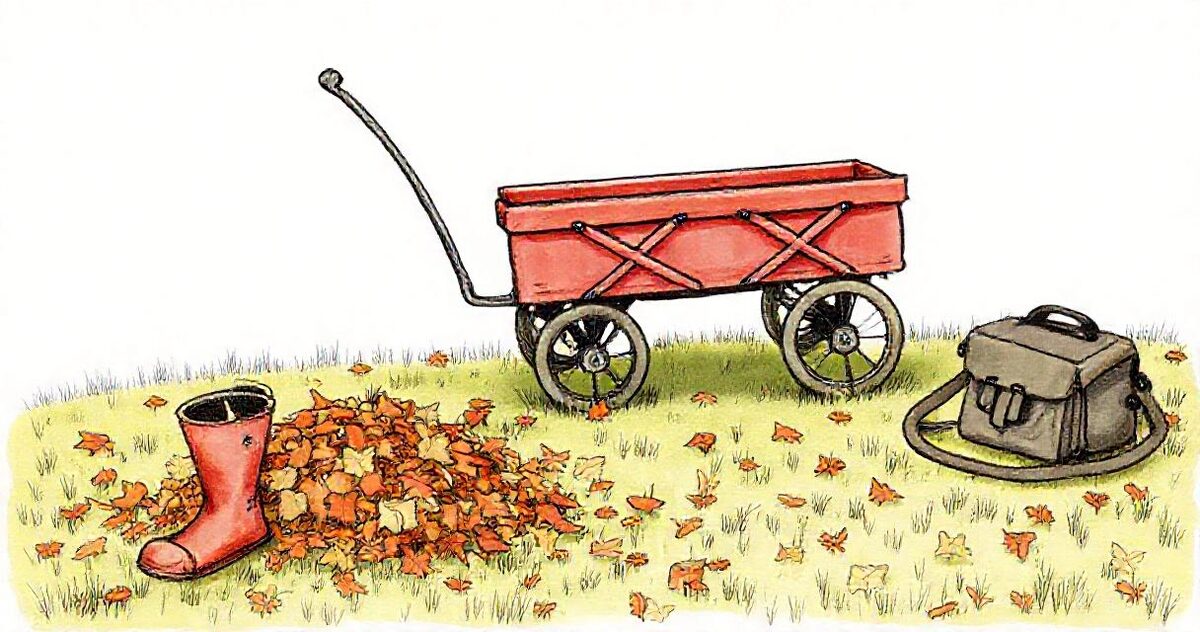 A sketch of an autumn lawn with a pile of fallen leaves, a small red wagon, a child-size rain boot and a camera bag