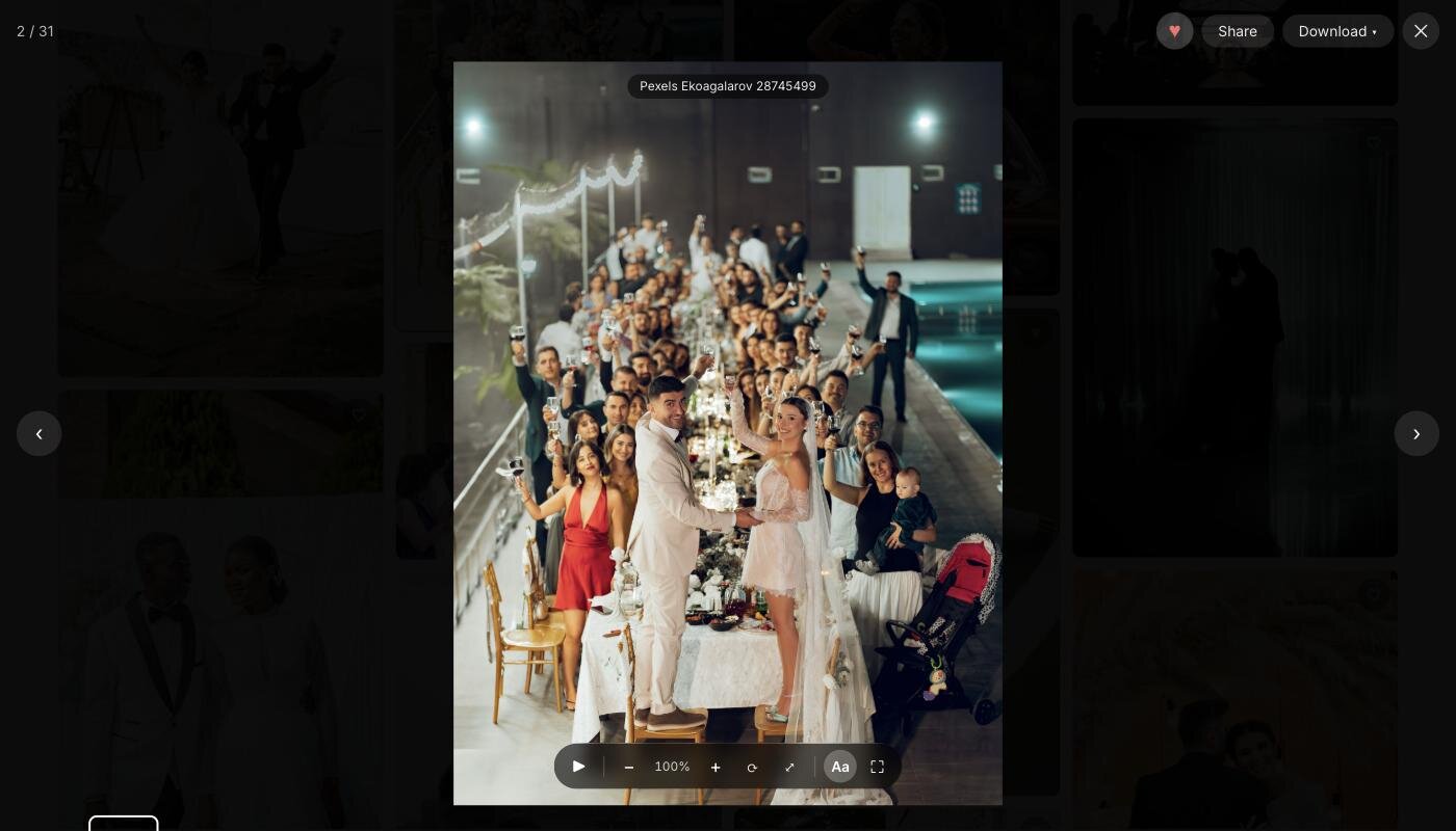 A photo opened large in the GalleryLink viewer with favourite, share and download buttons at the top and arrows to move between photos